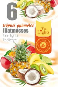 Illatos Teamécses Trópusi Gyümölcs 6 db-os TL6 #45